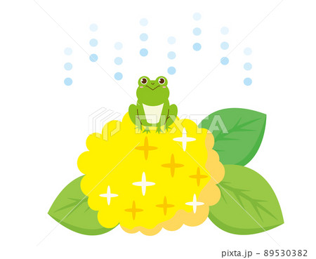 かわいいカエル 紫陽花 ベクターイラスト かわいいカエル 紫陽花 ベクターイラスト 89530382