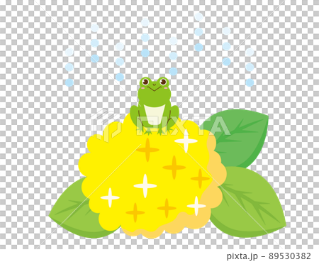 Cute frog hydrangea vector illustration 89530382