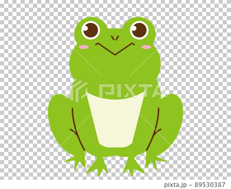 かわいいカエル ベクターイラスト かわいいカエル ベクターイラスト 89530387