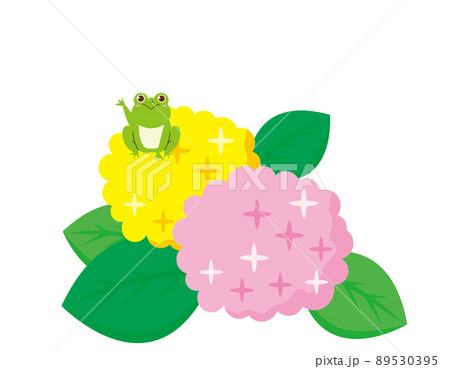 かわいいカエル　紫陽花　ベクターイラスト 89530395