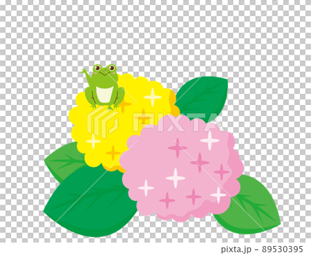 かわいいカエル　紫陽花　ベクターイラスト 89530395