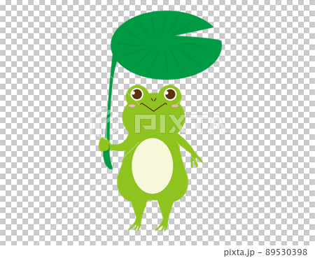 Cute frog vector illustration 89530398
