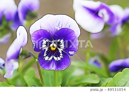 パステル調 ”パンジー” イラストイメージ パステル調 ”パンジー” イラストイメージ 89531054