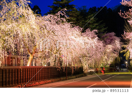 角館　武家屋敷通り　夜桜　ライトアップ 89531113