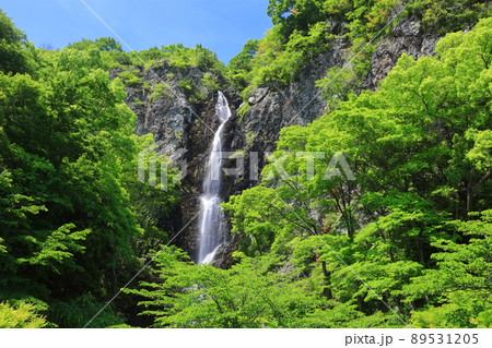 【香川県】新緑の不動の滝 89531205
