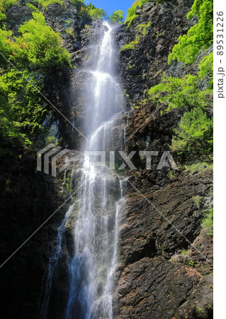 【香川県】新緑の不動の滝 89531226