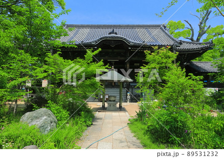 【香川県】新緑の志度寺　本堂（第八十六番札所） 89531232