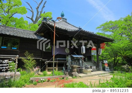 【香川県】新緑の志度寺 大師堂(第八十六番札所) 【香川県】新緑の志度寺 大師堂(第八十六番札所) 89531235