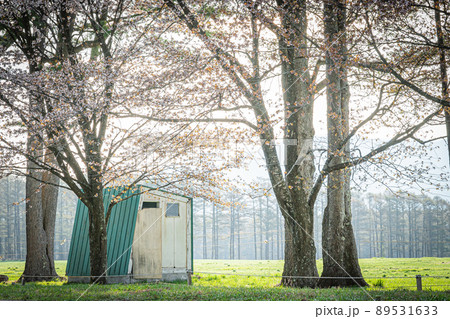 北海道　春　風景 89531633