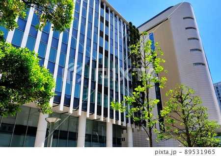 駐日ベルギー大使館 駐日ベルギー大使館 89531965