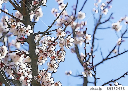パステル調 ”白梅の花” イラストイメージ パステル調 ”白梅の花” イラストイメージ 89532438