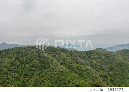 the landscape of the green forest at Black Hill 2 May 2022 89533744