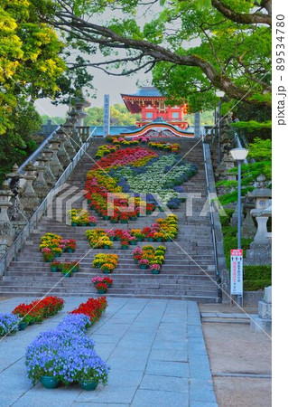 防府天満宮花回廊2022 山口県防府市 防府天満宮花回廊2022 山口県防府市 89534780