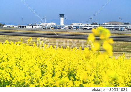 【香川県】さぬきこどもの国菜の花畑と高松空港 【香川県】さぬきこどもの国菜の花畑と高松空港 89534821