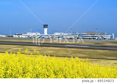 【香川県】さぬきこどもの国菜の花畑と高松空港 【香川県】さぬきこどもの国菜の花畑と高松空港 89534823