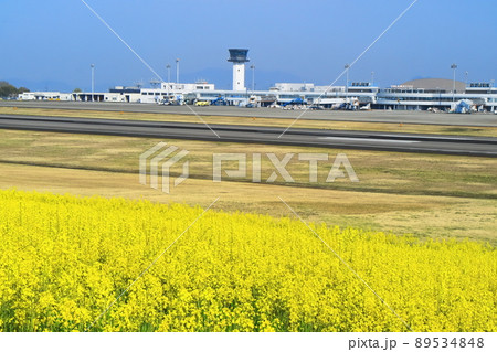 【香川県】さぬきこどもの国菜の花畑と高松空港 【香川県】さぬきこどもの国菜の花畑と高松空港 89534848