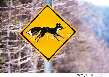 動物飛び出し注意 ”道路標識”の写真素材 [89535300] - PIXTA