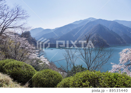 奥多摩湖と桜　春景　4月　東京 89535440