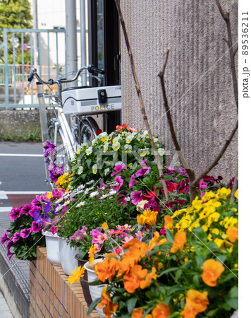 亀戸天神近くの交番風景 89536211