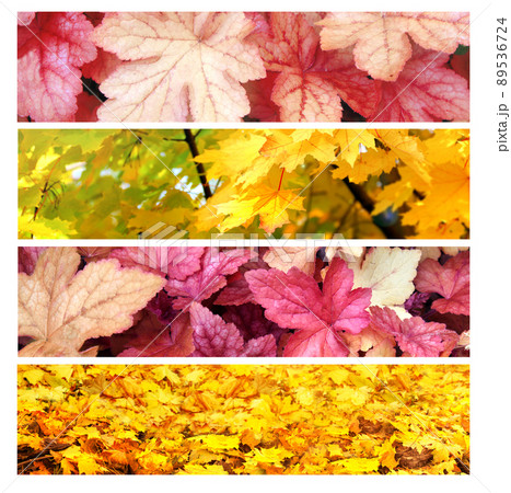 Set of horizontal nature banners with autumn scenes. Collection of fall backdrops with yellow and red autumn leaves 89536724