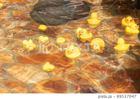 温泉とアヒルのおもちゃ 89537047