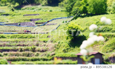 田植え前の風景 田植え前の風景 89538126