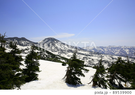 八甲田ロープウェー山頂公園駅周辺から望む八甲田山 89539900