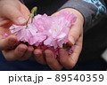 八重桜の花びらを両手で持つ子ども 89540359