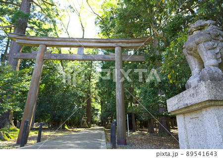【若狭国一宮】若狭彦神社の鳥居と参道の初夏の風景2 福井県小浜市 【若狭国一宮】若狭彦神社の鳥居と参道の初夏の風景2 福井県小浜市 89541643