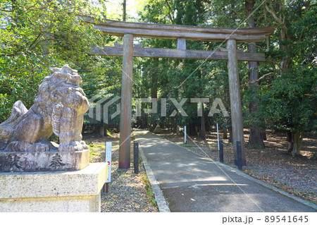 【若狭国一宮】若狭彦神社の鳥居と参道の初夏の風景3　福井県小浜市 89541645
