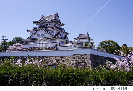 満開の桜に囲まれた岸和田城の天守閣 89541692