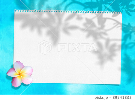 青い背景とスケッチブック、プルメリアの花と葉のシルエットを加えて 青い背景とスケッチブック、プルメリアの花と葉のシルエットを加えて 89541832