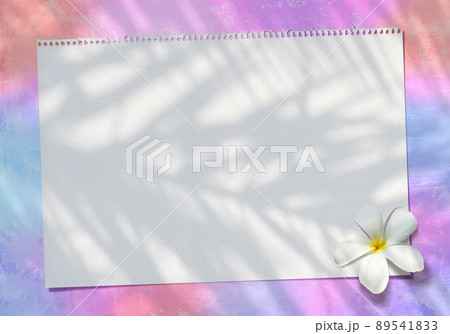 ピンクの背景とスケッチブックに、プルメリアの花と椰子の葉シルエット 89541833