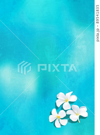 爽やかなブルーの背景と、白いプルメリアの花 89541835