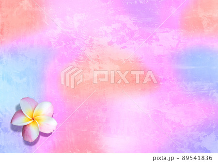 トロピカルなピンクの背景と、きれいなプルメリアの花 89541836