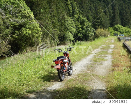 山手のとあるダートにて 89541932