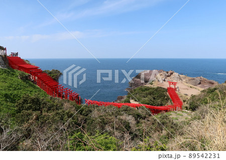 日本の山口県長門市にある元乃隅神社への赤い鳥居が続く参道と日本海 日本の山口県長門市にある元乃隅神社への赤い鳥居が続く参道と日本海 89542231