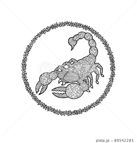 scorpio zodiac astrology horoscope symbol sign logo icon design in water element color art background watercolor painting cartoon drawing illustration fortune 89542283