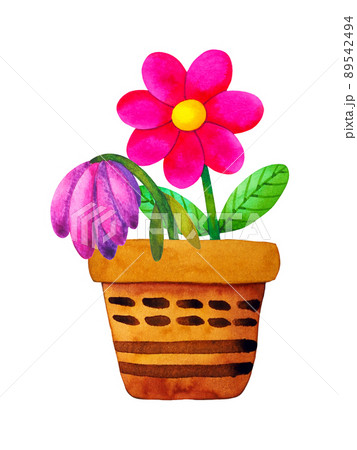 plant fresh blossom pink flower and dead flower in pottery pot art watercolor painting illustration design drawing nature garden on white background plant fresh blossom pink flower and dead flower in pottery pot art watercolor painting illustration design drawing nature garden on white background 89542494