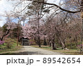 桜咲き誇る境内 89542654