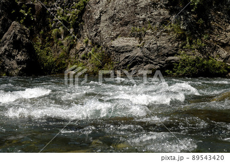 小川の水の流れ 89543420