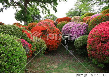 信州 岡谷 鶴峯公園 信州 岡谷 鶴峯公園 89543819