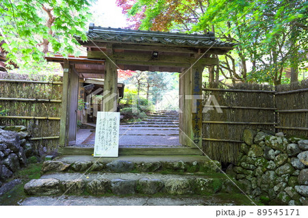 【日本遺産】お水送りの寺・若狭神宮寺の新緑の参道1　福井県小浜市 89545171
