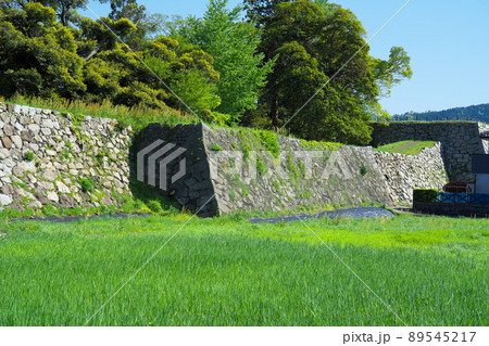 小浜城　初夏の本丸石垣3　福井県小浜市 89545217