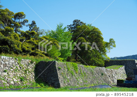 小浜城　初夏の本丸石垣4　福井県小浜市 89545218