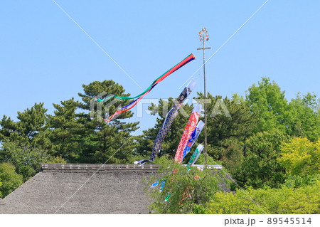 鯉のぼり 端午の節句 皐月の空 青空に泳ぐ鯉のぼり 鯉のぼり 端午の節句 皐月の空 青空に泳ぐ鯉のぼり 89545514