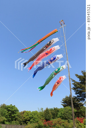 鯉のぼり 端午の節句 皐月の空 青空に泳ぐ鯉のぼり 鯉のぼり 端午の節句 皐月の空 青空に泳ぐ鯉のぼり 89545521