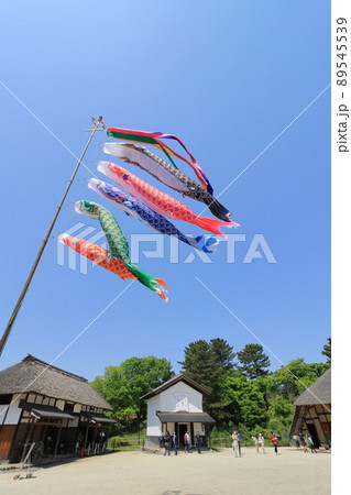鯉のぼり　端午の節句　皐月の空　青空に泳ぐ鯉のぼり 89545539