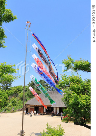 鯉のぼり　端午の節句　皐月の空　青空に泳ぐ鯉のぼり 89545549