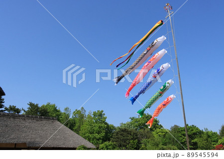 鯉のぼり 端午の節句 皐月の空 青空に泳ぐ鯉のぼり 鯉のぼり 端午の節句 皐月の空 青空に泳ぐ鯉のぼり 89545594